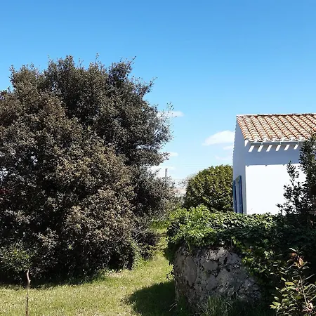 Holiday home Maison Proche Plage, Animaux Admis, 8 Pers A - Fr-1-823-142 La Gueriniere